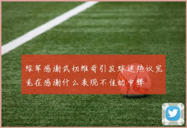 绿军感谢武切维奇引发球迷热议究竟在感谢什么表现不佳的中锋